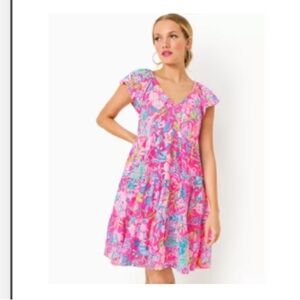 Lilly Pulitzer Kawai swing dress NWT small